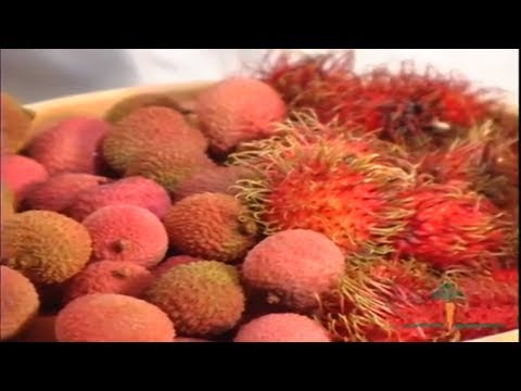 Rambutans vs. Lychees, The Delicious and Uncommon Fruits