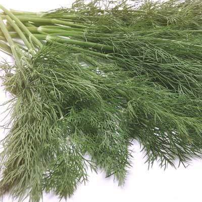Image of  Baby Dill Other