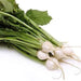 Image of  Baby Turnips Vegetables