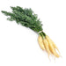 Image of  Baby White Carrots Vegetables
