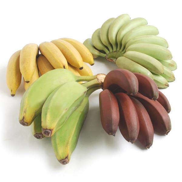 Image of  Banana Sampler Fruit