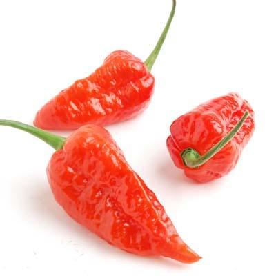 Image of  Bhut Jolokia Peppers Vegetables