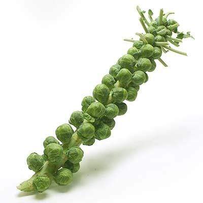 Image of  Brussels Sprout Stalks Vegetables
