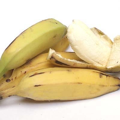 Organic Bananas — Melissas Produce