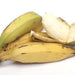 Image of  Burro Bananas Fruit