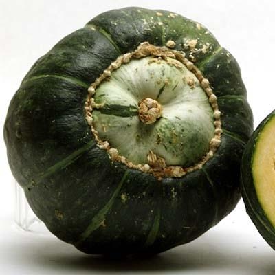 Image of  Buttercup Squash Vegetables