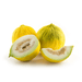 Image of  Casaba Melons Fruit