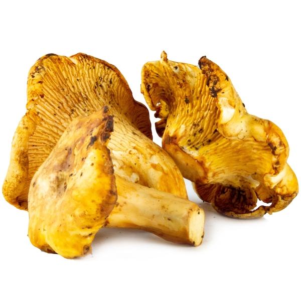 Image of  Chanterelle Mushrooms Vegetables