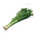 Image of  Chinese Celery Vegetables