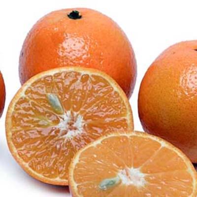 Clementine Tangerines — Melissas Produce