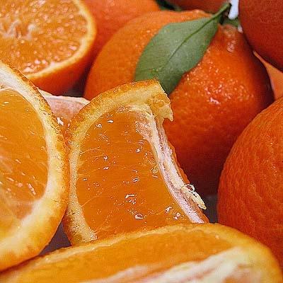 Image of  Clementine Tangerines Fruit