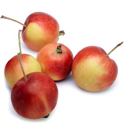 Image of  Crab Apples Fruit