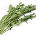 Image of  Dandelion Greens Vegetables