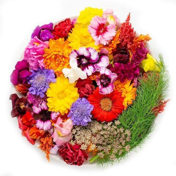 Image of  Edible Flowers Other