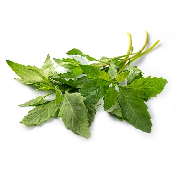 Epazote (Fresh) — Melissas Produce