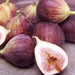 Image of  Figs Fruit