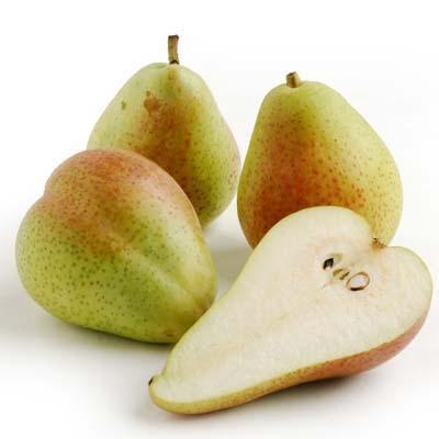 Image of  Forelle Pears Fruit