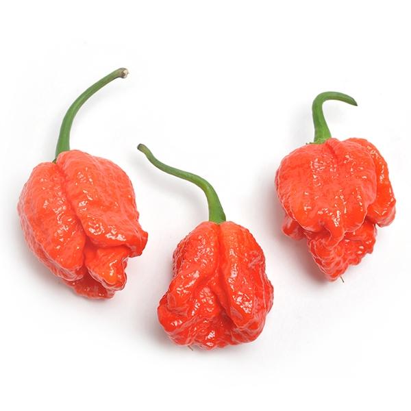Image of  Fresh Reaper Peppers Vegetables