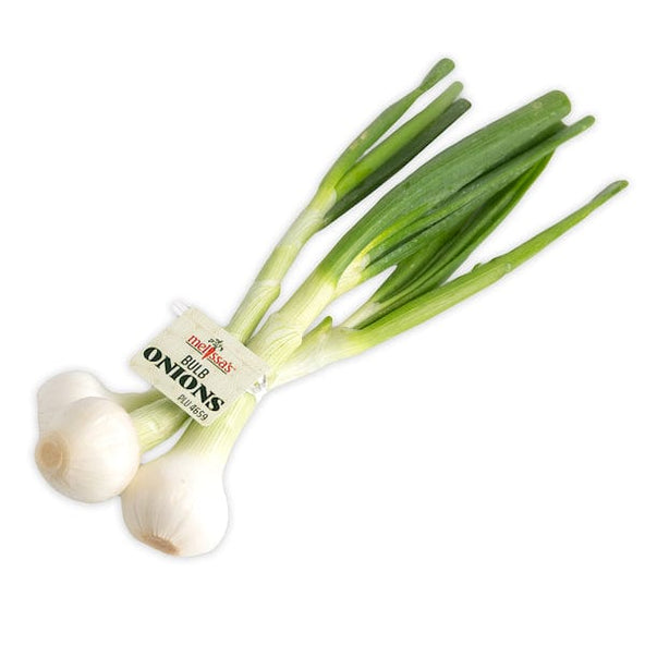 image-of-green-onions-mexican-vegetables-33579247435820_592x592.jpg
