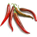 Image of  Guajillo Pepper Vegetables