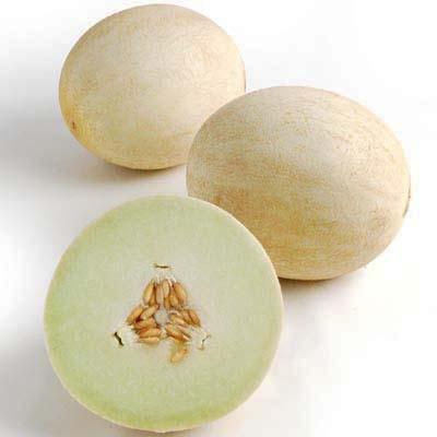 Image of  HoneyBliss Melon Fruit