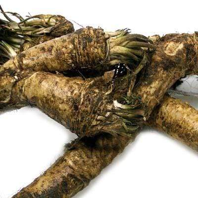 Image of  Horseradish with Tops Vegetables