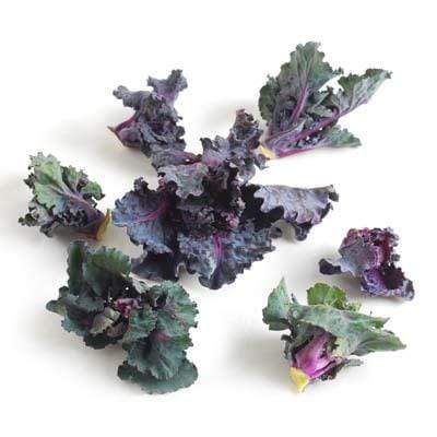 Image of  Kale Sprouts Vegetables