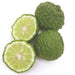Image of  Kieffer Limes Fruit