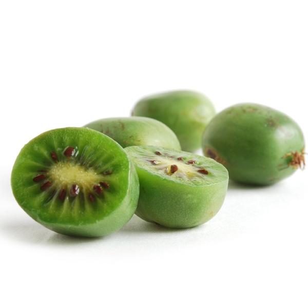 https://www.melissas.com/cdn/shop/products/image-of-kiwi-berries-fruit-14764338020396_600x600.jpg?v=1695329563