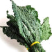 Image of  Lacinato Kale Vegetables