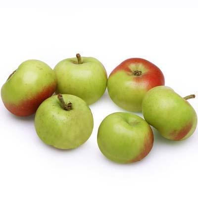 Image of  Lady Apples Fruit