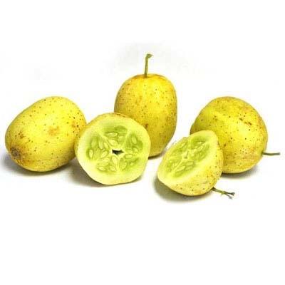 Image of  Lemon Cucumbers Fruit