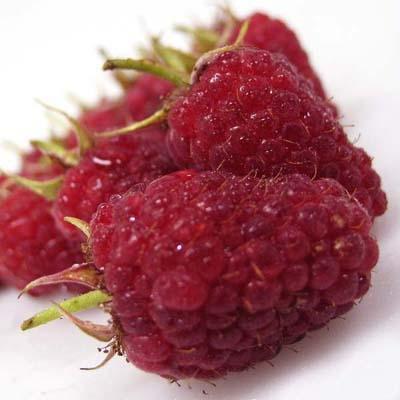 Image of  Long Stem Raspberries Fruit