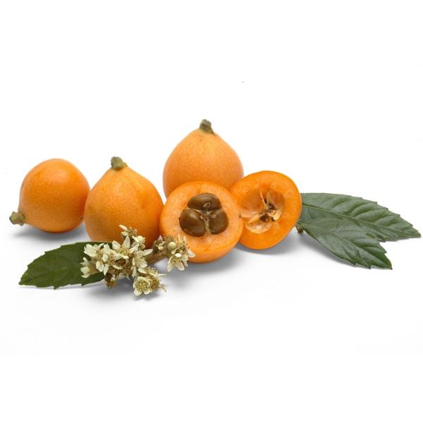 Image of  Loquats Fruit