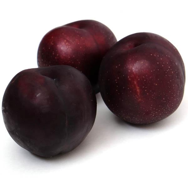 Image of  Magenta Plums Fruit