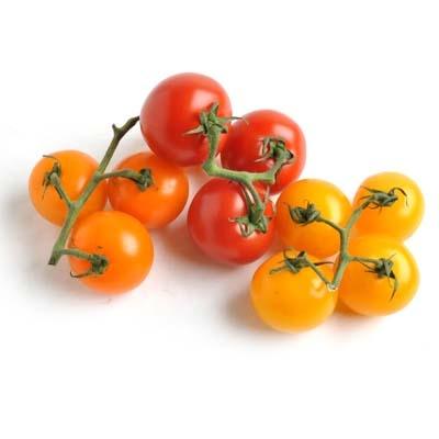 Image of  Medley Cocktail Tomatoes Fruit