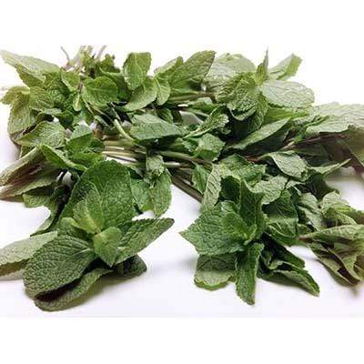 Image of  Mint Other