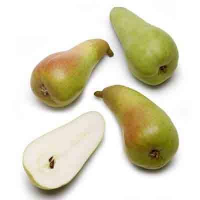 Image of  Organic Abate Fetel Pears