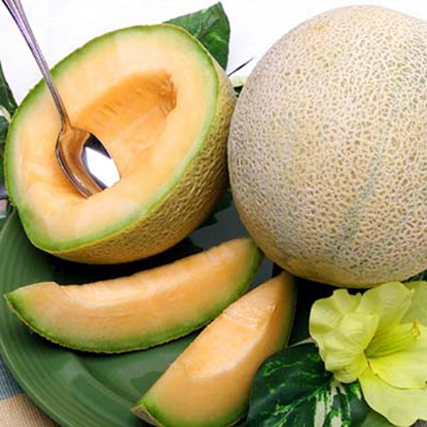 Image of  Organic Ambrosia Melons Fruit