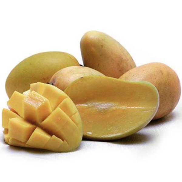 Image of  Organic Ataulfo Mango Organics
