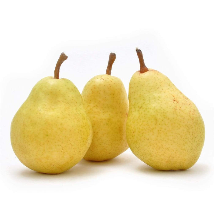 https://www.melissas.com/cdn/shop/products/image-of-organic-bartlett-pears-fruit-28650378297388_700x700.jpg?v=1628112279