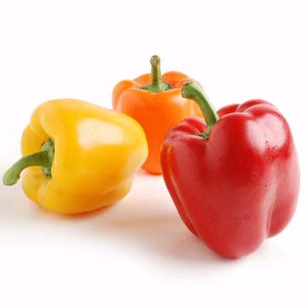 Organic Bell Peppers — Melissas Produce