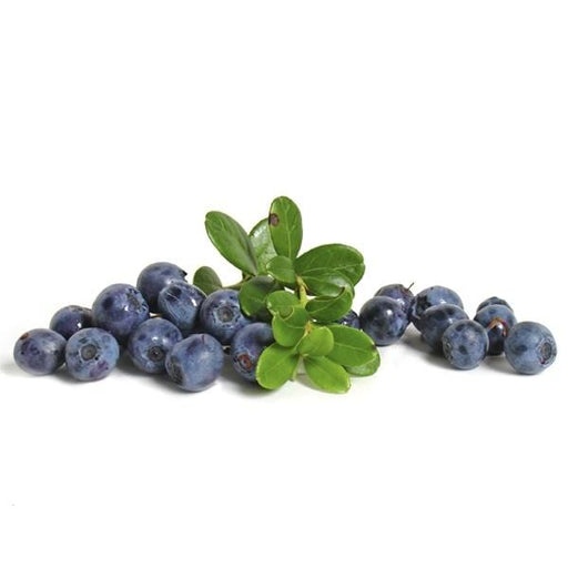 https://www.melissas.com/cdn/shop/products/image-of-organic-blueberries-organics-14763751440428_512x512.jpg?v=1616958510