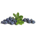 Image of  Organic Blueberries Organics