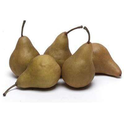 Pears Brown Bosc- 6 Pieces