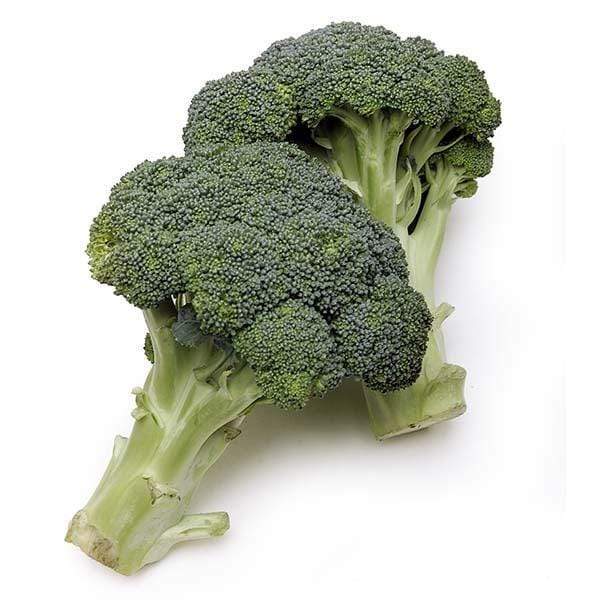 Image of  Organic Broccoli Organics