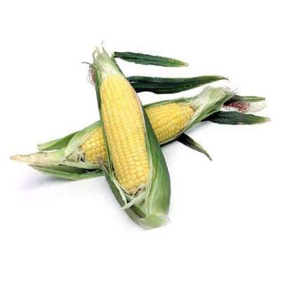 Image of  Organic Corn Organics