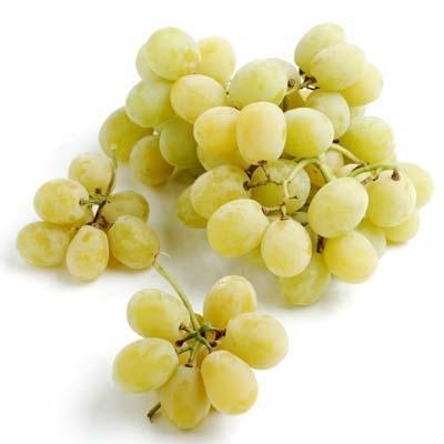 https://www.melissas.com/cdn/shop/products/image-of-organic-cotton-candy-sup-sup-grapes-fruit-28658540478508_400x400.jpg?v=1627994925
