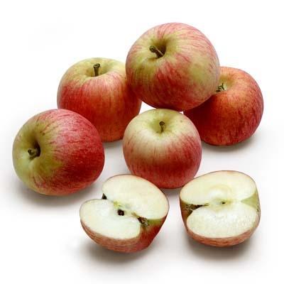 Image of  Organic Gala Apples Fruit