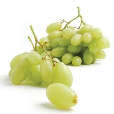 https://www.melissas.com/cdn/shop/products/image-of-organic-green-muscatos-grapes-fruit-28657598201900_400x400.jpg?v=1628093370